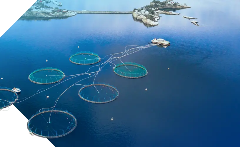 <h4>Discover how Dyneema® can work for you</h4>