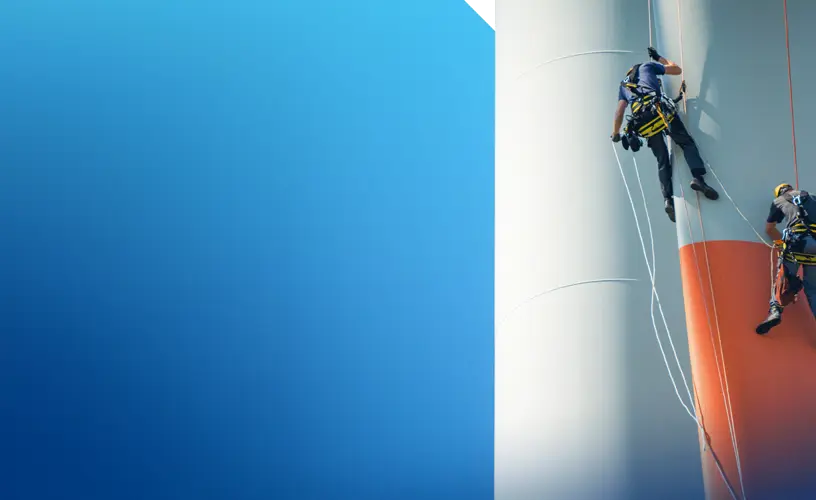 <h4>Dyneema®: Supporting some of the world’s biggest renewables projects</h4>