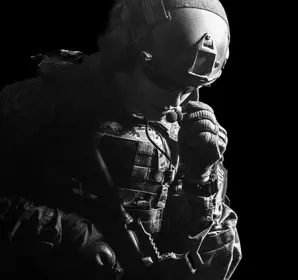<h6>Defense</h6>
<p><span class=