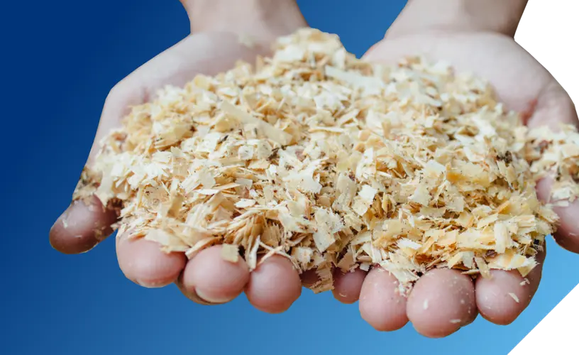 <h4>What do we mean by Dyneema® fiber from <strong>bio-circular</strong> feedstock?</h4>
