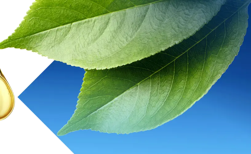 <h4>Design for sustainability</h4>